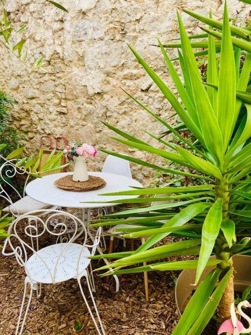 Havre De Paix Avec Jardin Et Clim En Centre Ville De Sete Sète Exterior foto