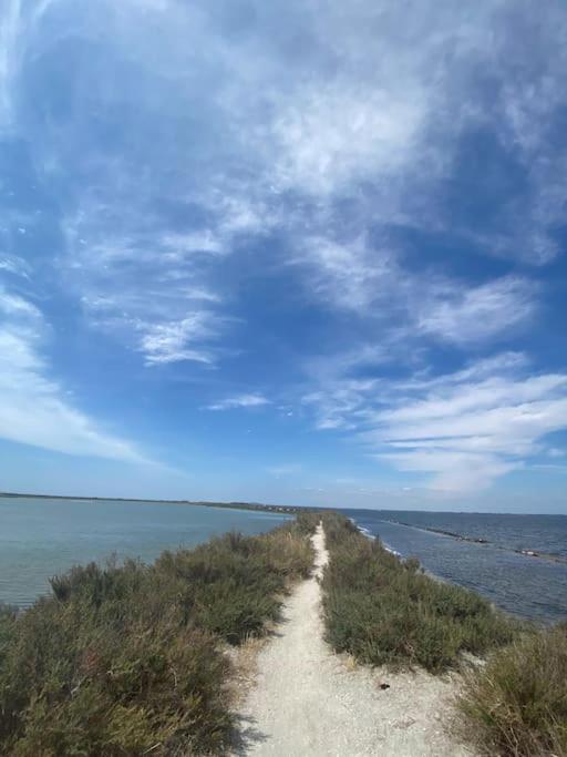 Havre De Paix Avec Jardin Et Clim En Centre Ville De Sete Sète Exterior foto